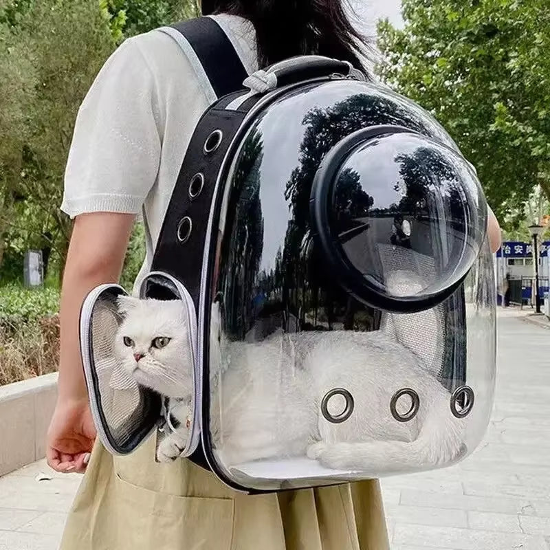 Stylish Transparent Bubble Pet Backpack - Perfect for Cats, Puppies & Small Animals on the Go!